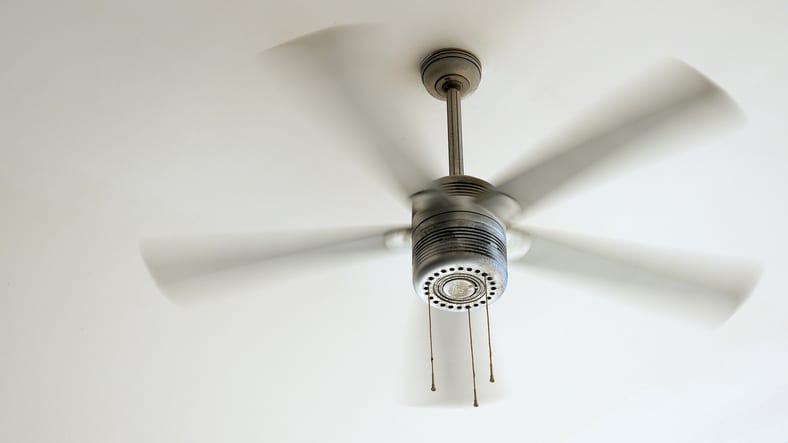 Ceiling Fan Bliss Without the Buzz: Why Hiring Palmetto Electrical Contractors is Your Coolest Move